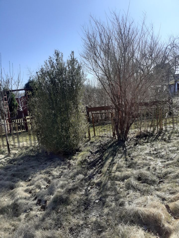 Działka rod Koszalin Północ, ul. Władysława IV. Zdjęcie 2