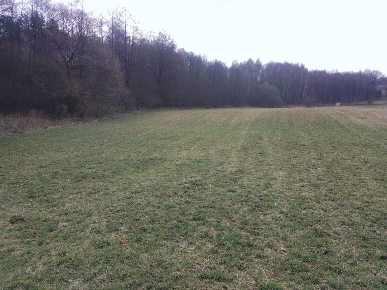 Działka rolna Prawęcin. Zdjęcie 1