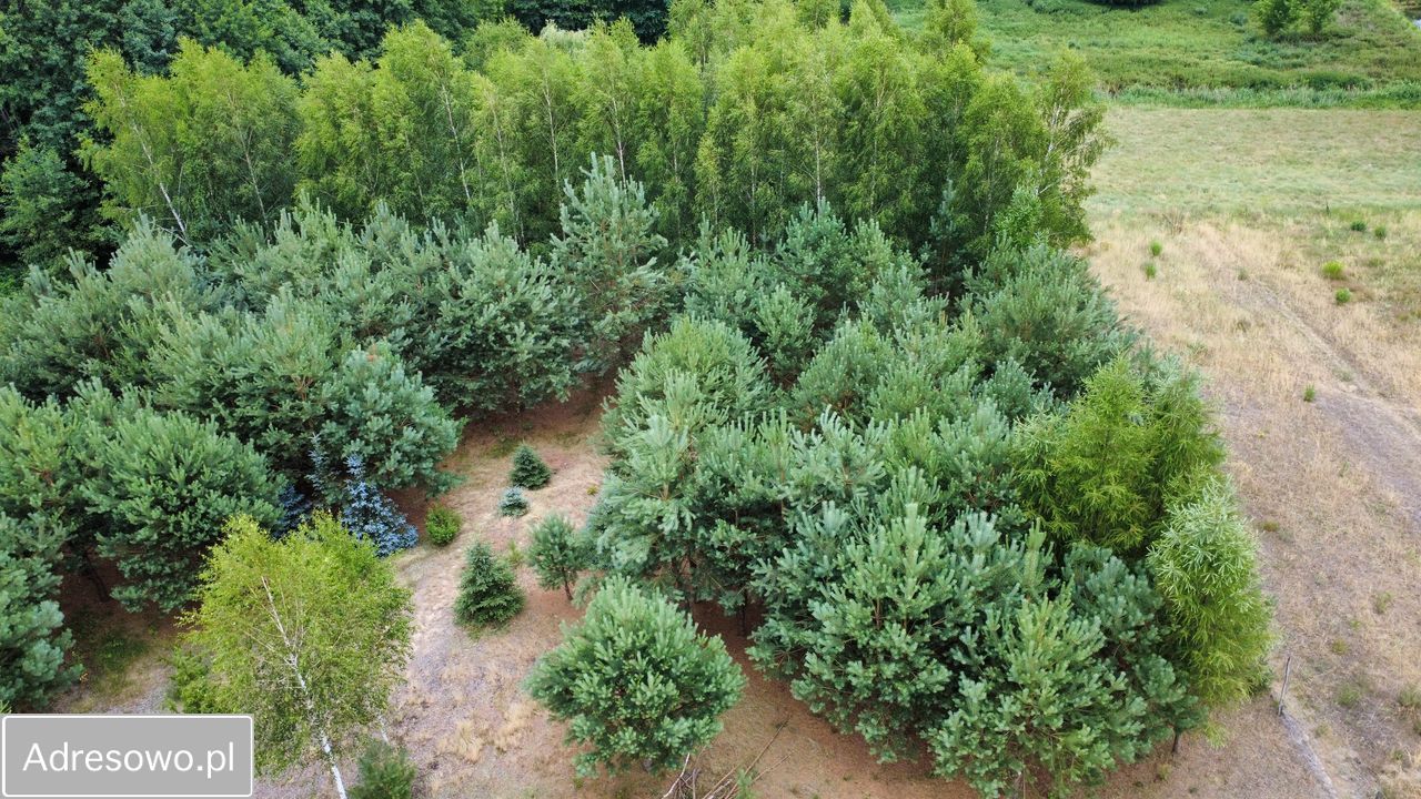 Działka rolno-budowlana Ruda. Zdjęcie 10
