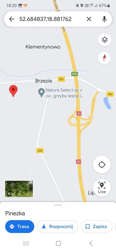 Działka budowlana Brzezie. Zdjęcie 6
