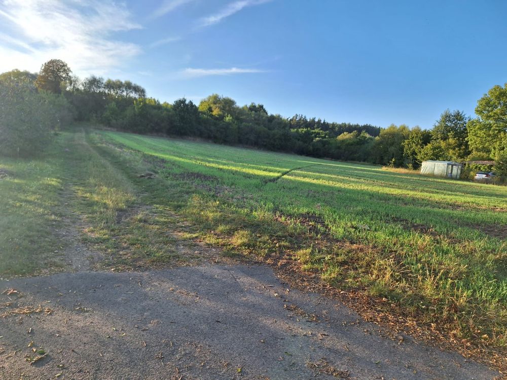 Działka rolno-budowlana Mały Komorsk. Zdjęcie 3