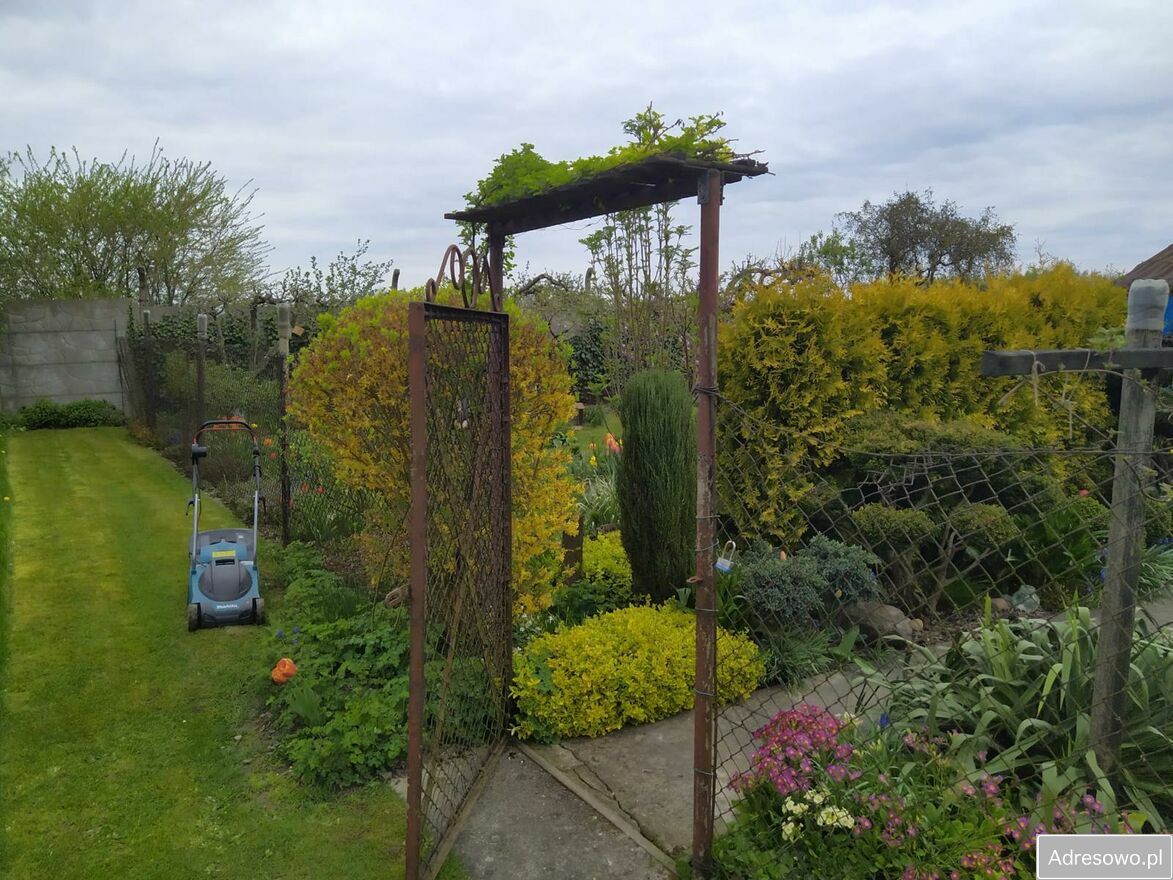 Działka rod Gliwice. Zdjęcie 4