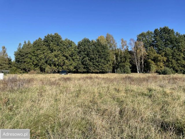 Działka budowlana Miłowo. Zdjęcie 1