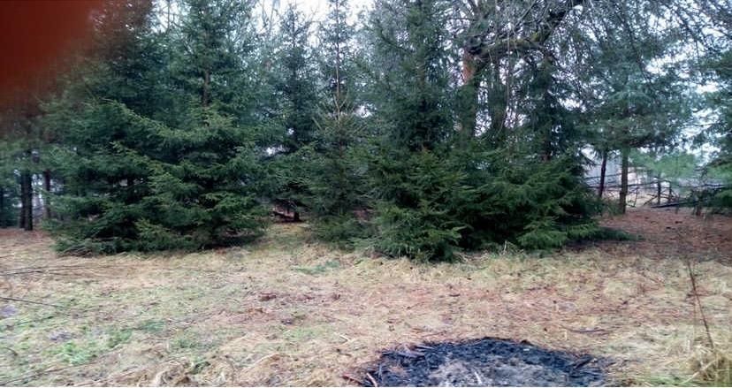 Działka rolno-budowlana Waleriany. Zdjęcie 2