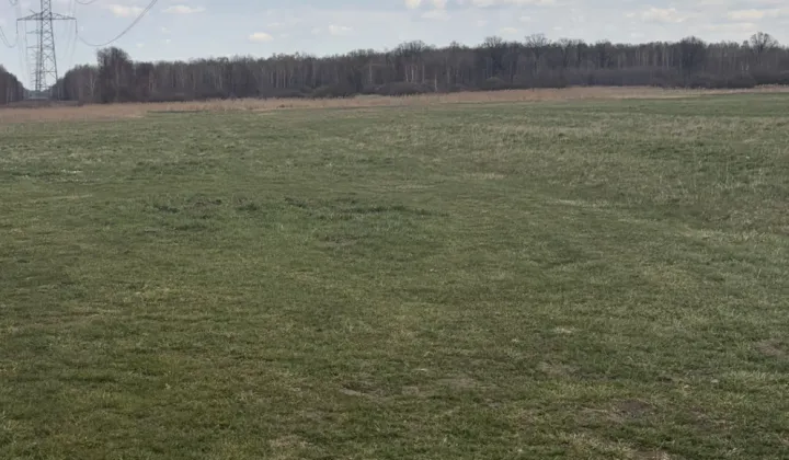 Działka rolna Długa Kościelna, ul. Spokojna