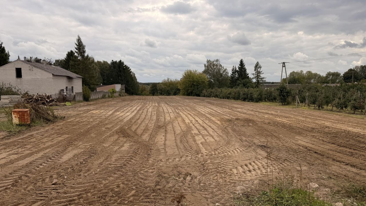 Działka budowlana Dębe. Zdjęcie 5