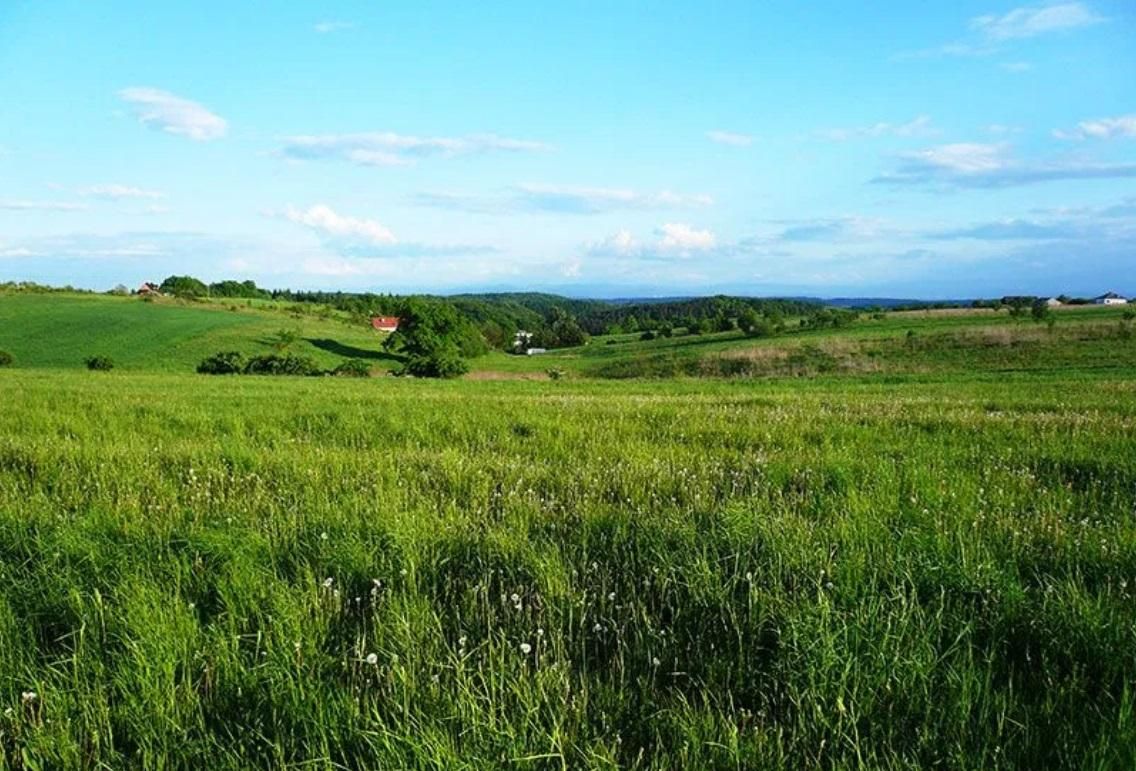 Działka rolno-budowlana Łazy