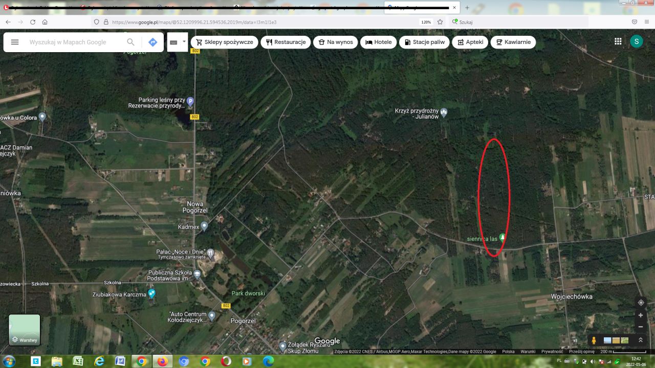 Działka leśna Strugi Krzywickie. Zdjęcie 4