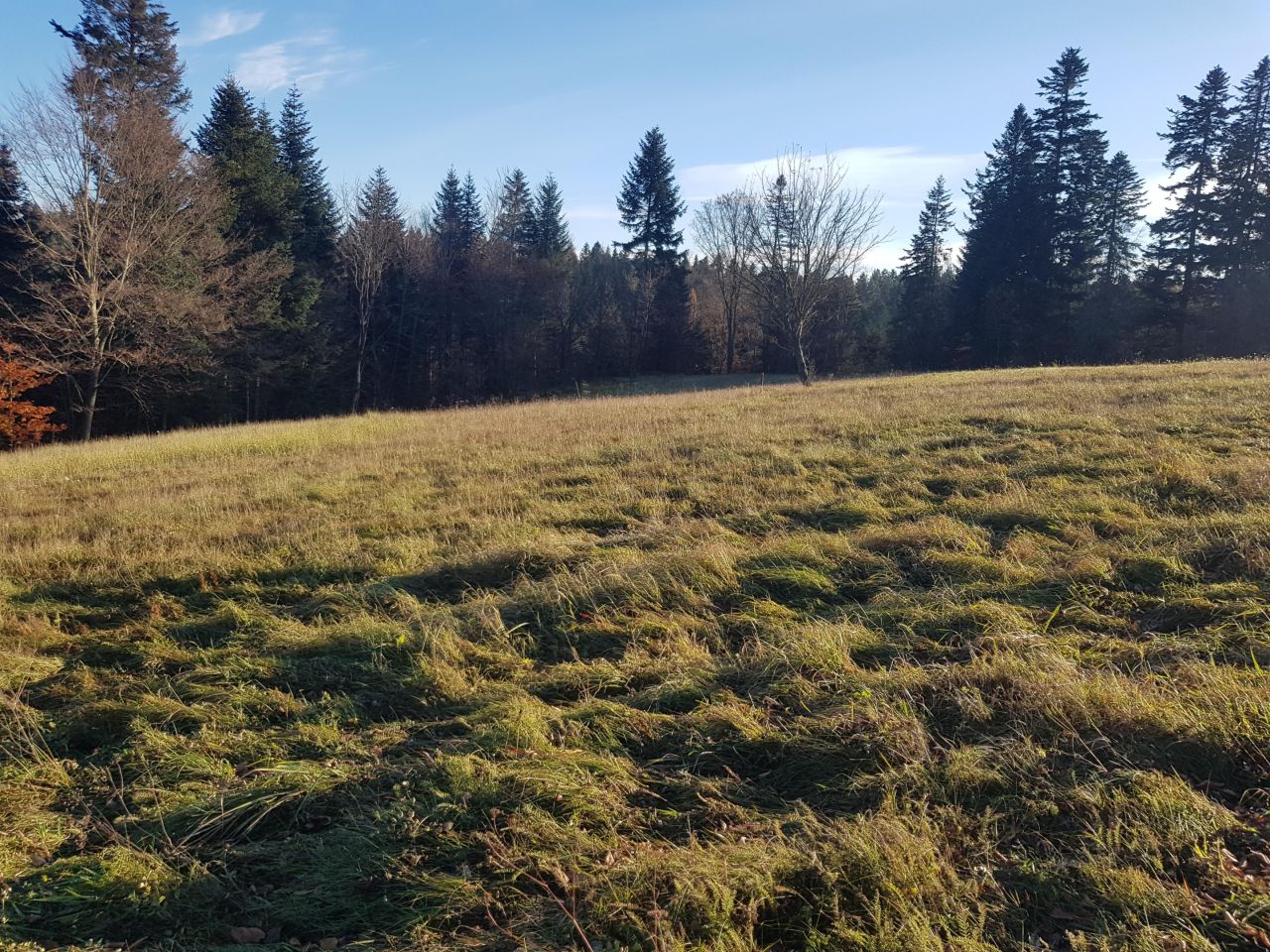 Działka budowlana Werlas. Zdjęcie 4