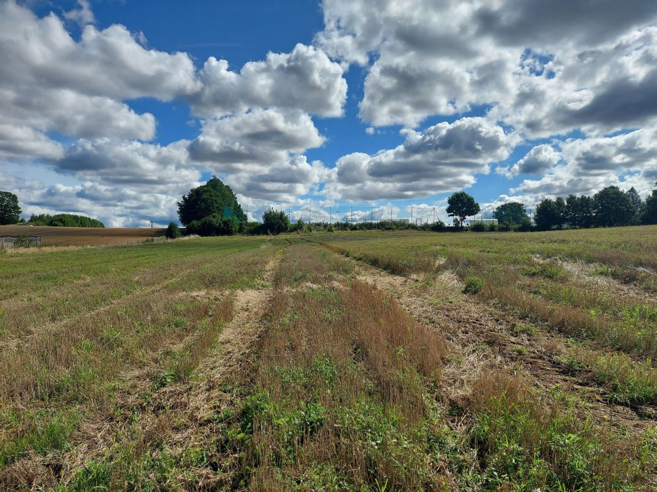 Działka siedliskowa Malechowo. Zdjęcie 7