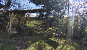 Działka rod Szczecin Bukowo