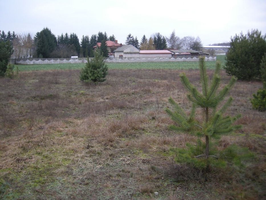 Działka rolno-budowlana Żelków-Kolonia, ul. Swoboda. Zdjęcie 2