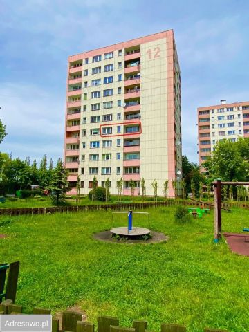 Mieszkanie 2-pokojowe Sosnowiec Pogoń, ul. gen. Józefa Hallera. Zdjęcie 1