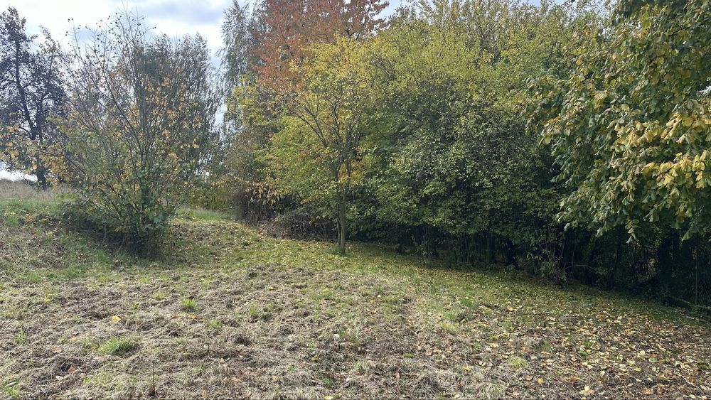 dom wolnostojący Owsiszcze, ul. Opawska. Zdjęcie 5