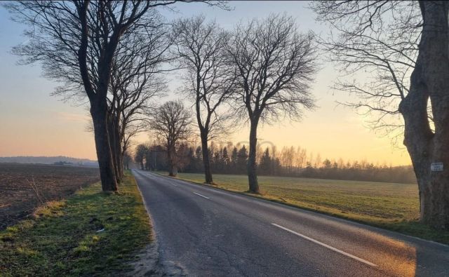 Działka budowlana Charzyno, ul. Wojska Polskiego. Zdjęcie 6