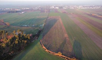 Działka inwestycyjna Borek Wielkopolski