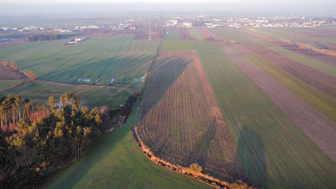 Działka inwestycyjna Borek Wielkopolski