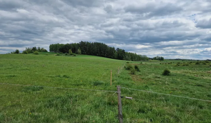 Działka rolna Orzechowo
