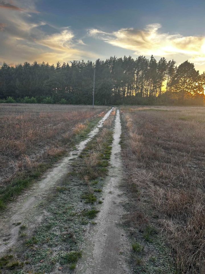 siedlisko Mochowo-Parcele. Zdjęcie 2