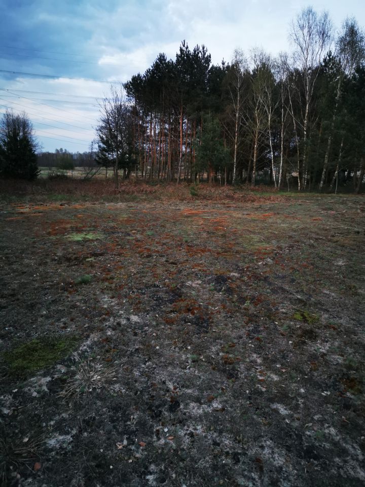 Działka rolno-budowlana Trakt Puszczański. Zdjęcie 4