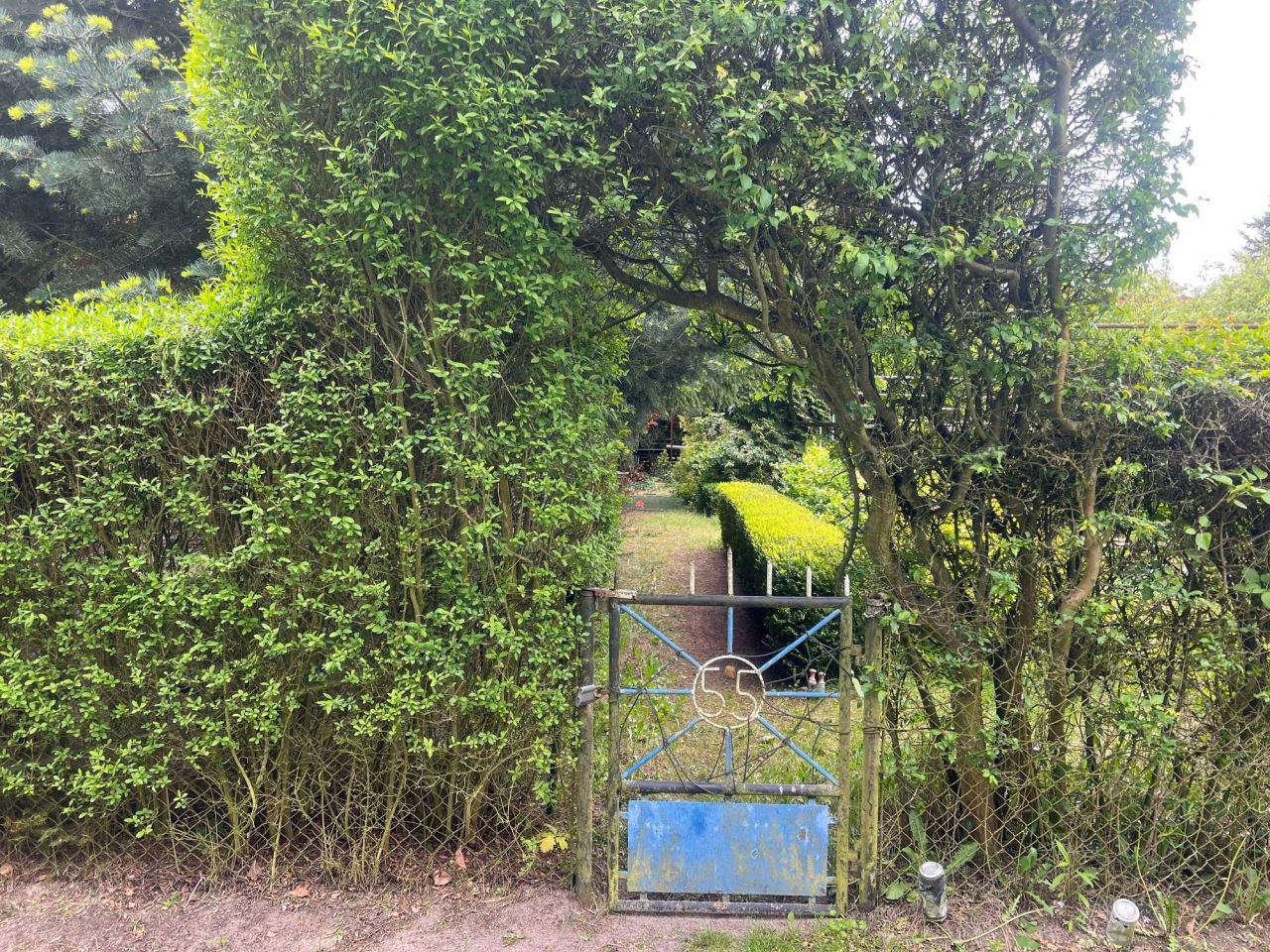 Działka rod Szamoty. Zdjęcie 4