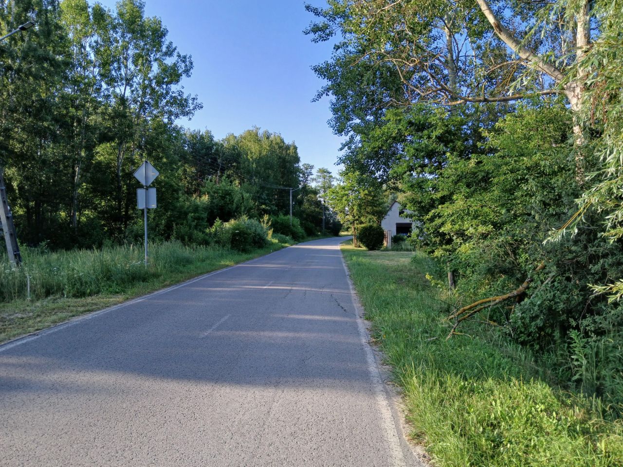 Działka rolno-budowlana Szczerców. Zdjęcie 8