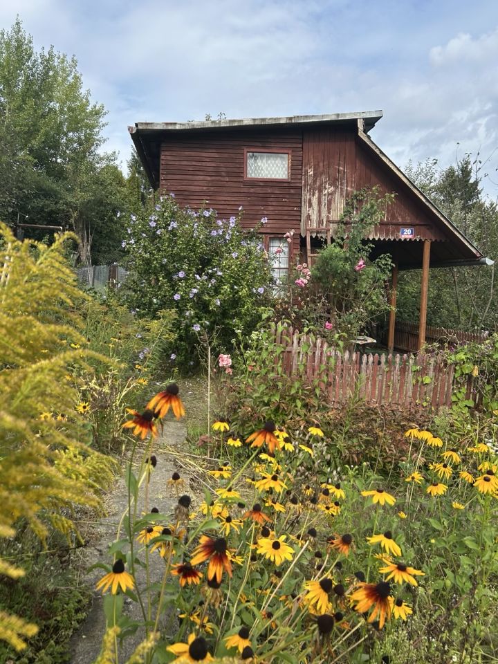 Działka rod Przemyśl Zasanie, ul. Biskupa Jakuba Glazera. Zdjęcie 10