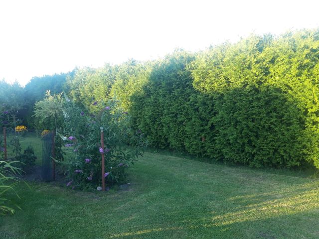 dom wolnostojący, 6 pokoi Strzelce Opolskie Mokre Łany, ul. Wawrzyńca Świerzego. Zdjęcie 24