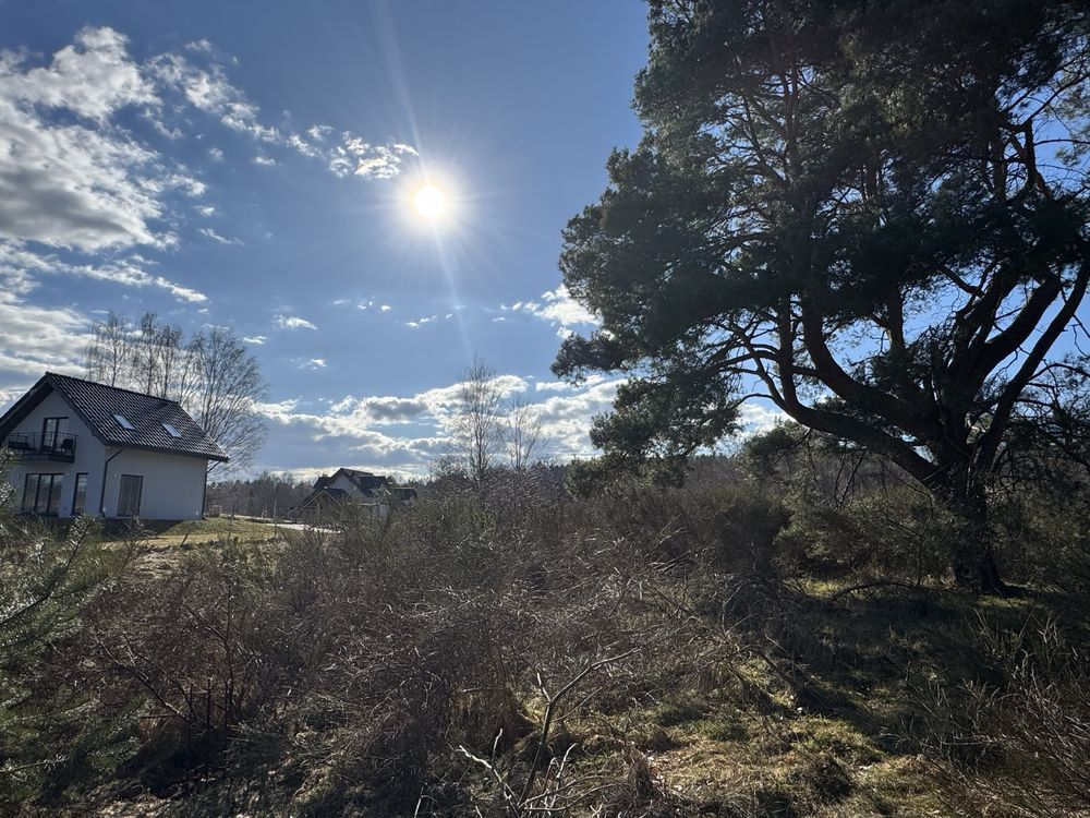 Działka budowlana Dębina, ul. Zacisze Słowika. Zdjęcie 6