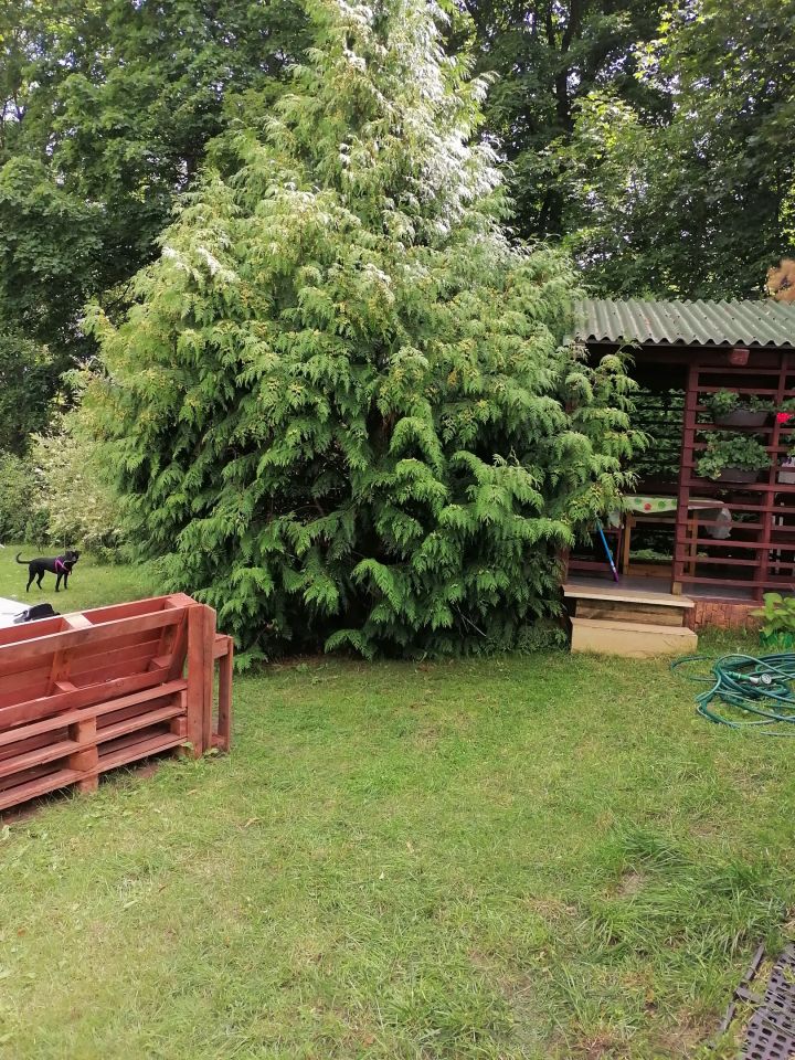 Działka rod Gorzów Wielkopolski Piaski, ul. Żwirowa. Zdjęcie 5