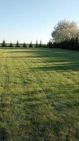 Działka budowlana Świerszczów. Zdjęcie 1