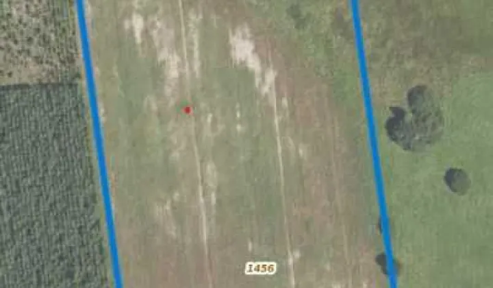 Działka rolna Wólka Nurzecka