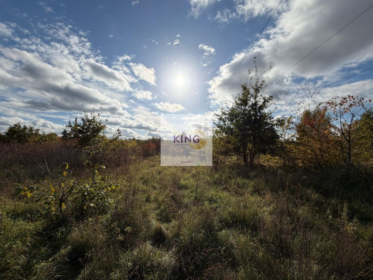 Działka siedliskowa Żórawie Szczawno. Zdjęcie 3