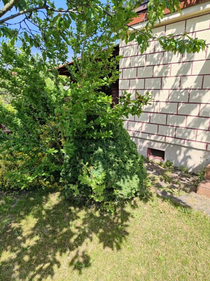 Działka rod Tychy. Zdjęcie 8