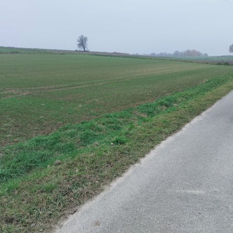Działka rolno-budowlana Osiek Osiek Górny, ul. Jaśminowa. Zdjęcie 1