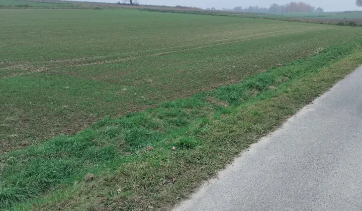 Działka rolno-budowlana Osiek Osiek Górny, ul. Jaśminowa