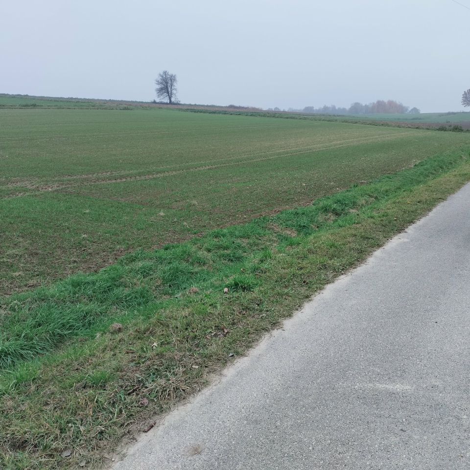 Działka rolno-budowlana Osiek Osiek Górny, ul. Jaśminowa. Zdjęcie 1