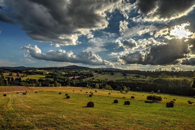 Działka budowlana Ciechanowice. Zdjęcie 8
