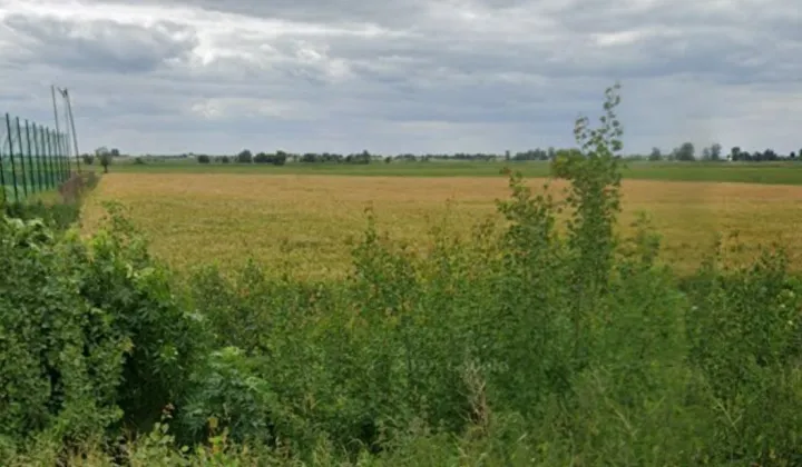 Działka rolna Złaków Kościelny