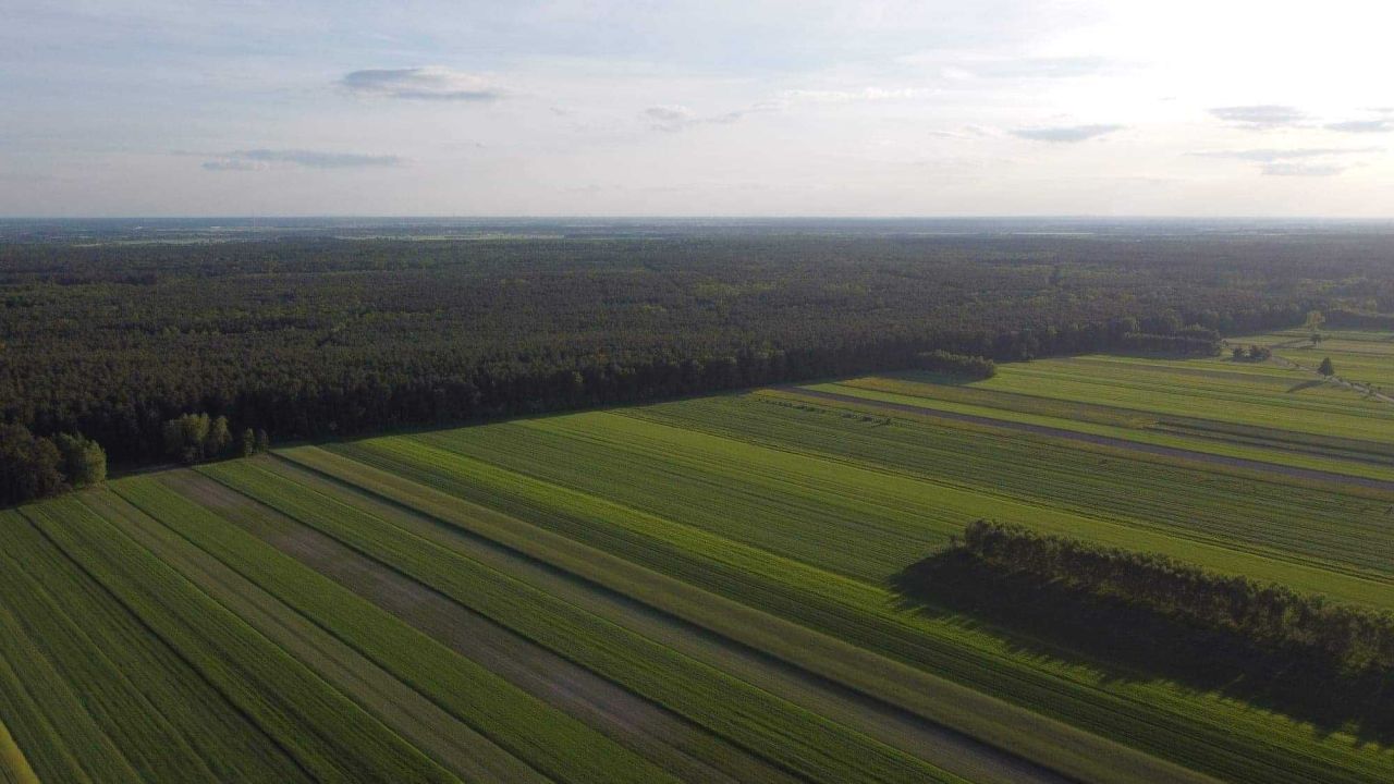 Działka budowlana Lubochnia. Zdjęcie 5