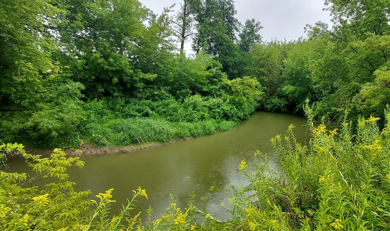 Działka leśna Borownia. Zdjęcie 4