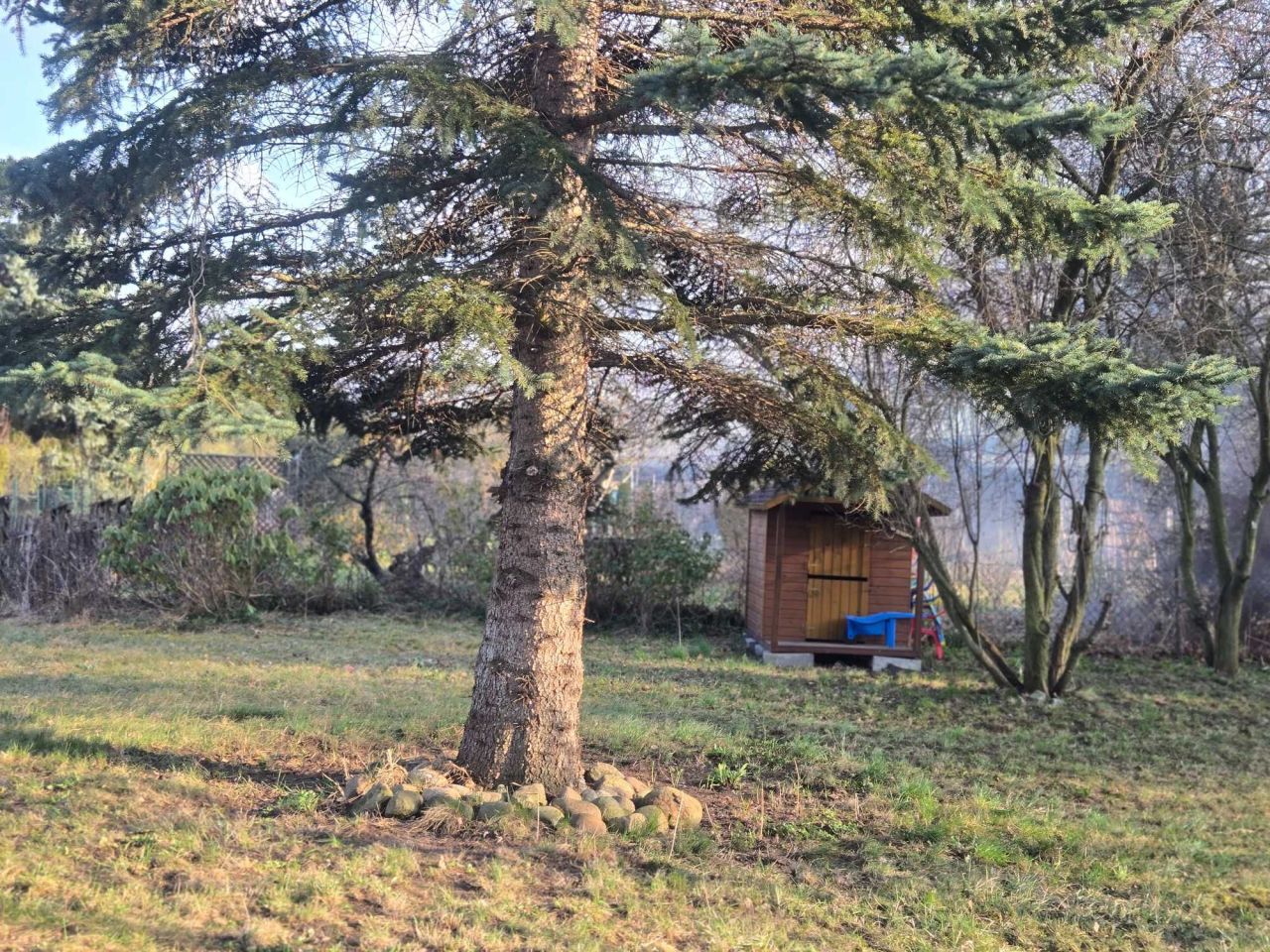 Działka rod Ząbki, ul. Klamrowa. Zdjęcie 6