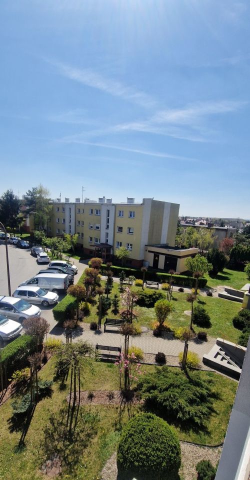 Mieszkanie 3-pokojowe Strzelin, ul. gen. Stefana Grota-Roweckiego. Zdjęcie 5