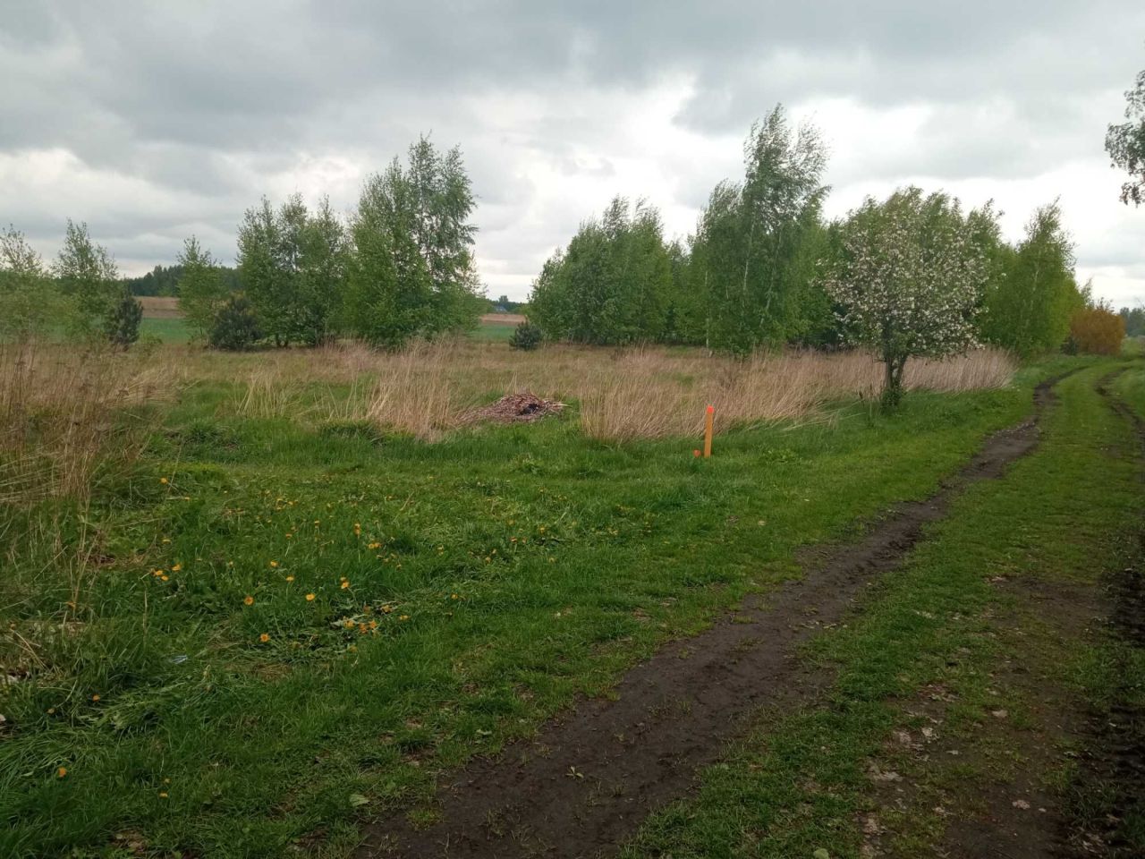 Działka budowlana Bełchów. Zdjęcie 4