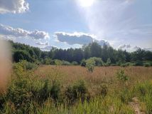 Działka rolna Rogóźno. Zdjęcie 4