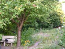 Działka rod Lublin Szerokie, ul. Nałęczowska. Zdjęcie 4