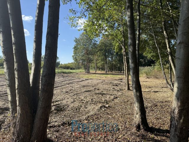 Działka Nowa Wieś, ul. Wandy. Zdjęcie 6