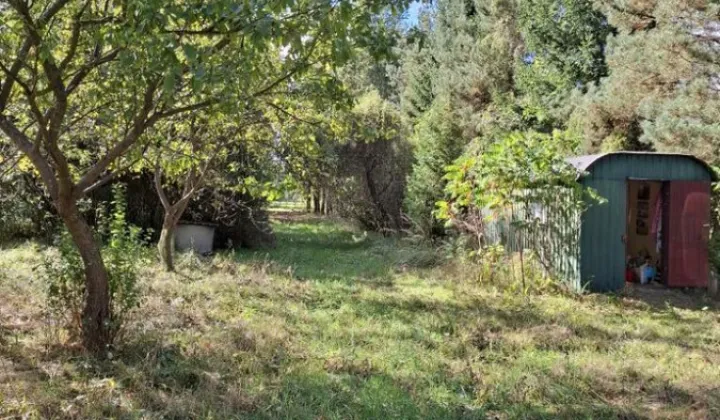 Działka rolna Sokóle