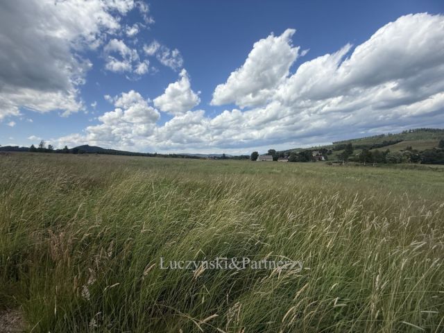 Działka inwestycyjna Olszyny. Zdjęcie 2