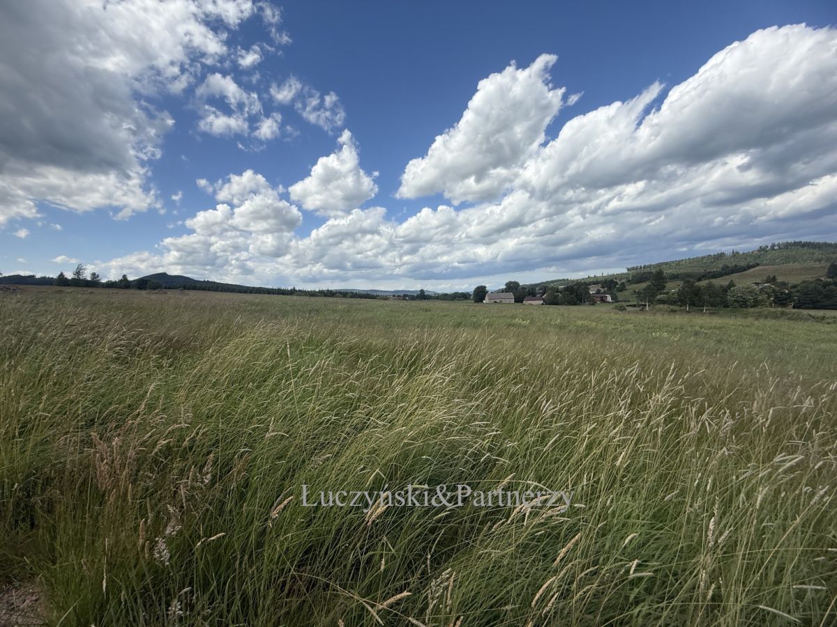 Działka inwestycyjna Olszyny. Zdjęcie 2